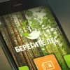Мобильное приложение «Берегите лес» поможет бороться с возникновением лесных пожаров