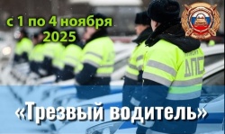 С 1 по 4 ноября на территории Пинежья будет проведено профилактическое мероприятие «Трезвый водитель», направленное на пресечение фактов управления транспортными средствами водителями в состоянии опьянения С 1 по 4 ноября на территории Пинежья будет проведено профилактическое мероприятие «Трезвый водитель», направленное на пресечение фактов управления транспортными средствами водителями в состоянии опьянения