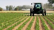Меры поддержки могут получить сельскохозяйственные потребительские кооперативы