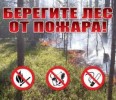 Особый противопожарный режим в лесах Архангельской области введен с 16 июля 2018года