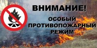 Особый противопожарный режим в лесах Архангельской области вводится с 04августа2018