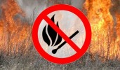 Противопожарный режим: неконтролируемый пал сухой травы опасен! Росреестр предупреждает землепользователей о недопустимости пала сухой растительности.