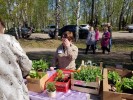 26 мая 2018 года в с. Карпогоры на площади у Дома народного творчества прошла  районная сельскохозяйственная ярмарка.