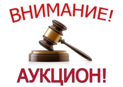 Извещение о проведении аукциона в электронной форме на право заключения договора на установку и эксплуатацию рекламной конструкции на территории Пинежского муниципального округа Архангельской области