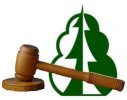 Информация о проведении аукционов на право заключения договоров купли-продажи лесных насаждений в целях обеспечения древесиной муниципальных нужд и сельскохозяйственных товаропроизводителей