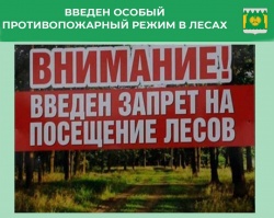 Запрещено ходить в лес