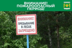 Установлен 5 класс чрезвычайной пожароопасности с 24 мая