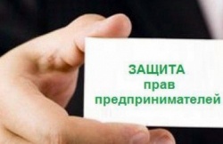 Всероссийский день приема предпринимателей