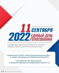 выборы 2022