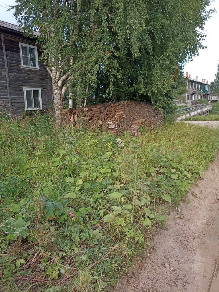 100..jpg